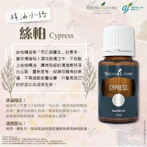 精油小語:絲柏 Cypress